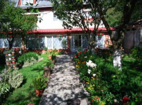 Отель Casa Danci II  Борса